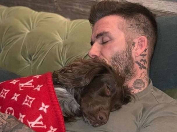 羽毛球汤尤杯赛程表(羽毛球汤尤杯直播) 羽毛球汤尤杯赛程表(羽毛球汤尤杯直播)