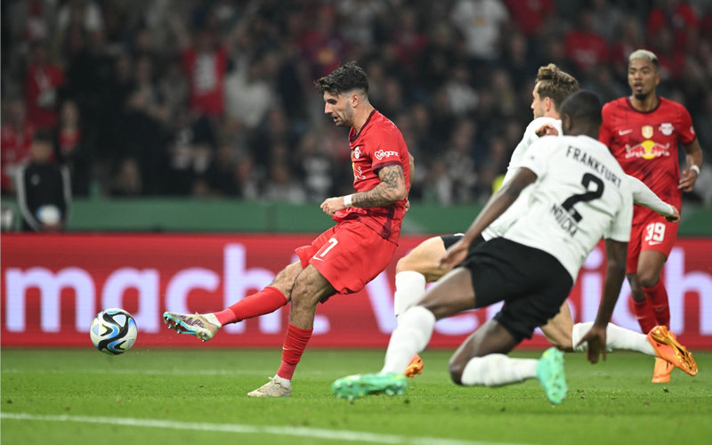 上海大鲨鱼主教练卢伟简介 上海大鲨鱼主教练卢伟简介