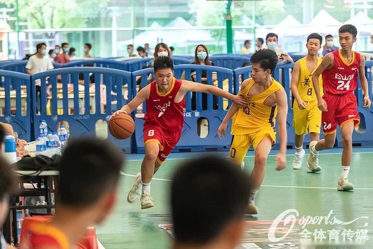 马龙妻子的生活轨迹与身份介绍 马龙妻子的生活轨迹与身份介绍