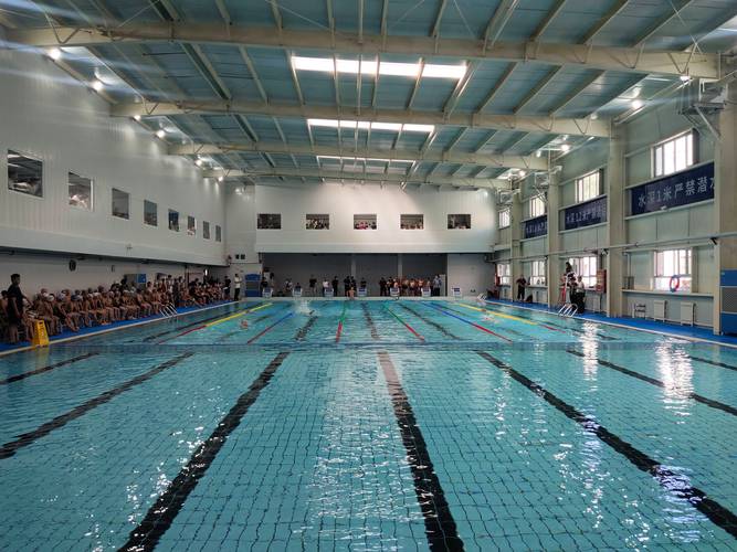 好玩无需联网的游戏