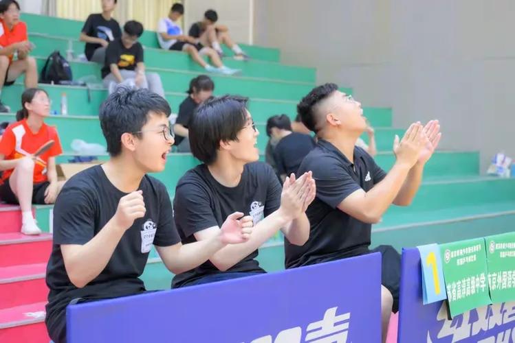 巴西vs瑞士谁厉害_巴西vs瑞士谁厉害一点