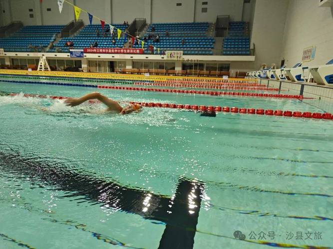 德怀特约克加点方案 德怀特约克加点方案