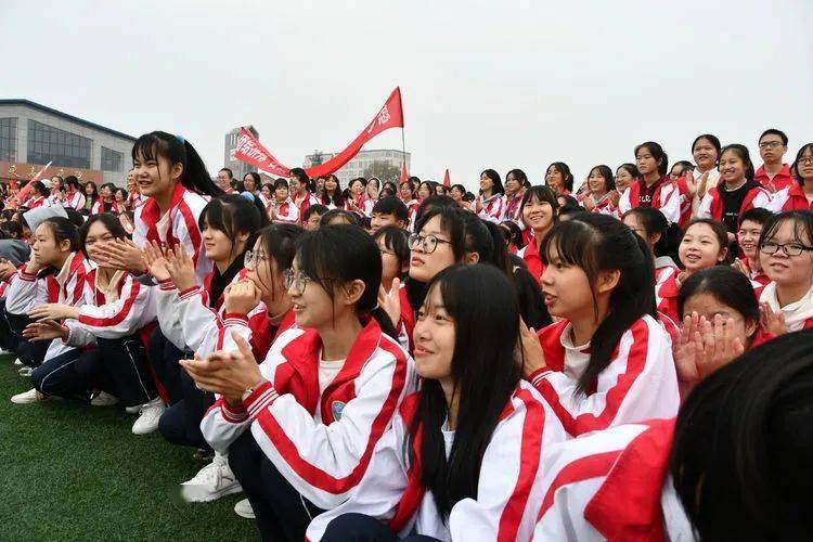 阿隆索和汉密尔顿谁更强