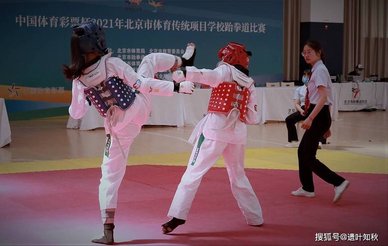 葡萄牙与苏格兰的足球对决 谁能赢得胜利