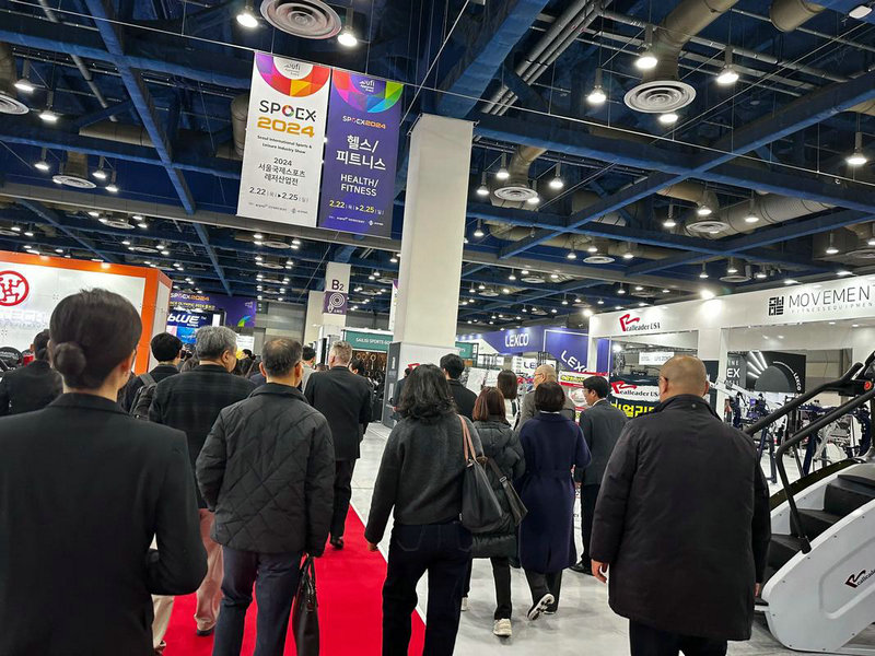 女篮世界杯2026预选赛 女篮世界杯2026预选赛