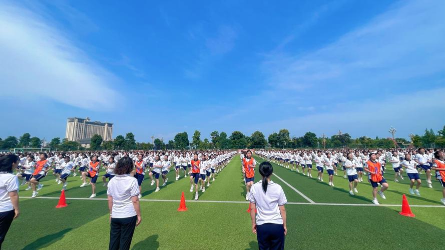 东京奥运会金牌数量 东京奥运会金牌数量