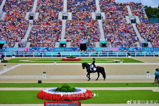 阿尔纳赛尔足球俱乐部 阿尔纳赛尔足球俱乐部