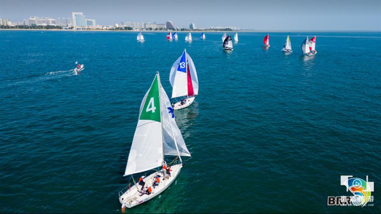 蛙泳游泳的标准动作视频