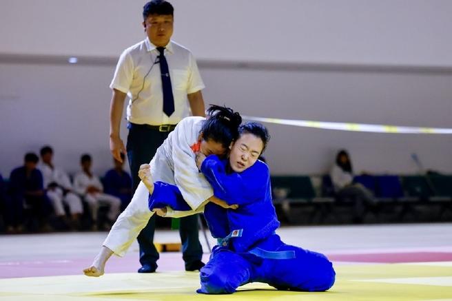 权力的游戏人物关系图 权力的游戏人物关系图豆