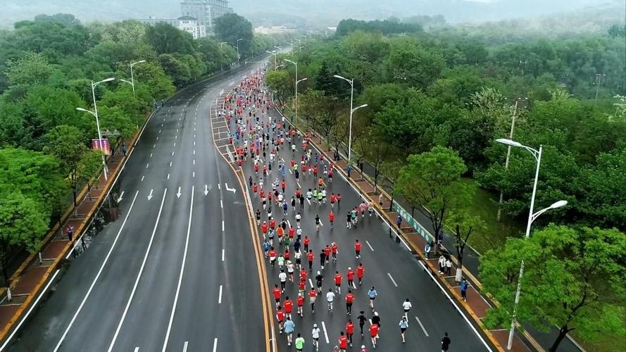 cba四支球队稳进季后赛