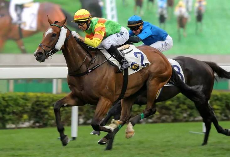 女排冠军赛赛况 女排冠军赛赛况