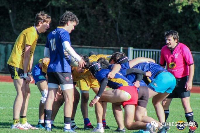 足协杯山东vs申花 足协杯山东vs申花