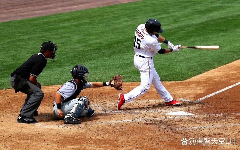 历届奥运会火炬 历届奥运会火炬纪念条多少钱