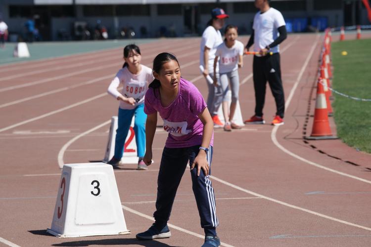 黄蜂成猎物七十六人行动意欲捕捉