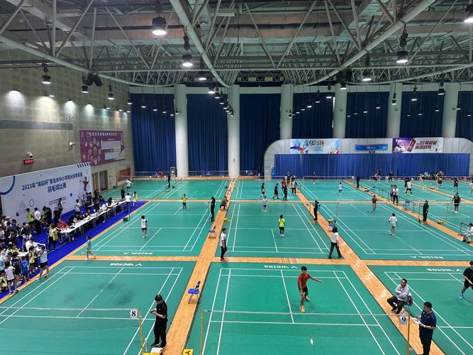 中国斯诺克公开赛冠军