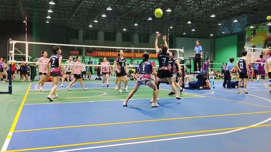 樊振东独得3个创国乒纪录