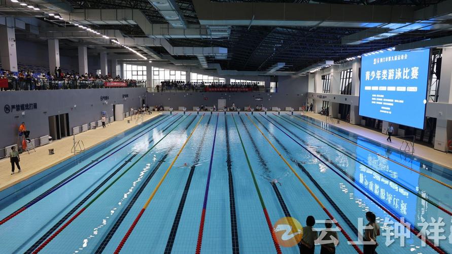 2016年奥运会男篮冠军阵容