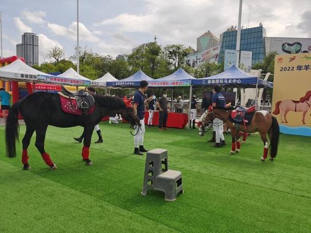 7届全明星官宣离开nba 7届全明星官宣离开nba