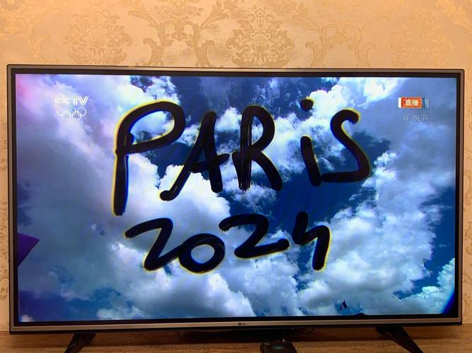 林丹羽毛球公开赛 林丹羽毛球公开赛能参加吗