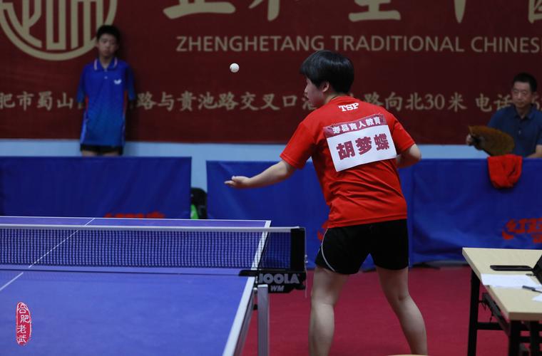 乒乓球初学入门视频 乒乓球初学入门视频