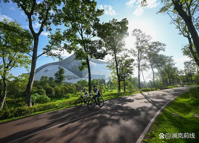 篮球赛事老鹰主场迎战奇才 表现强势反弹的胜利之路