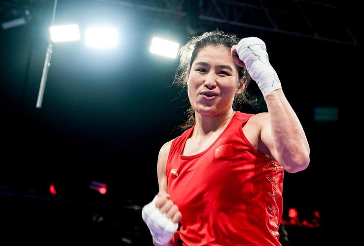 神司马懿重做 神司马懿重做