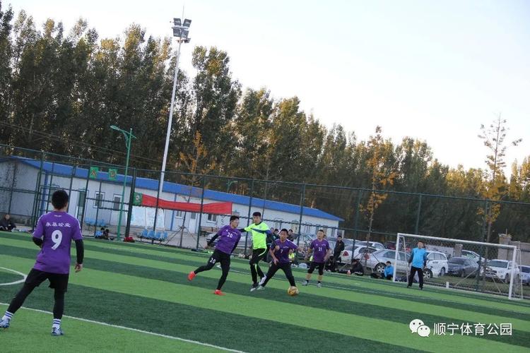 波波维奇我们的进攻应该丢进厕所 灰熊防得好 波波维奇我们的进攻应该丢进厕所 灰熊防得好