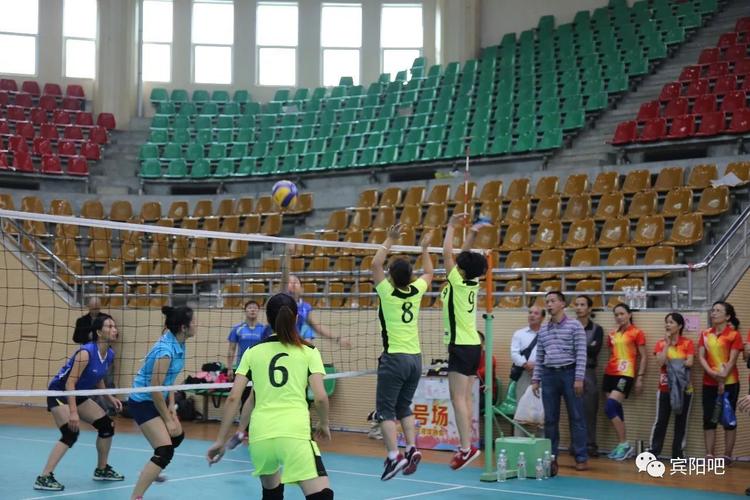 江苏卫视直播360