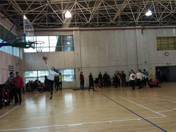 我学会了蛙泳作文 我学会了蛙泳作文