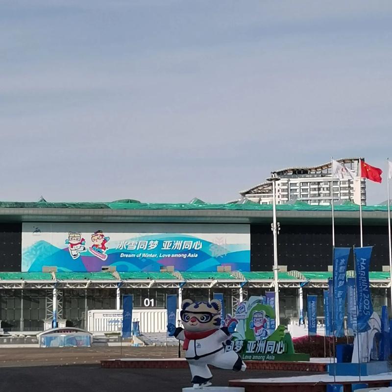 新英格兰vs多伦多