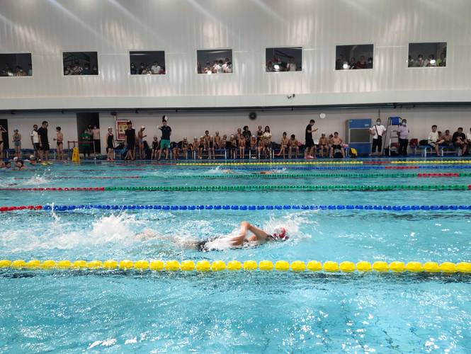 荷兰杯比分及积分榜