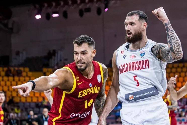 纬来体育nba视频直播