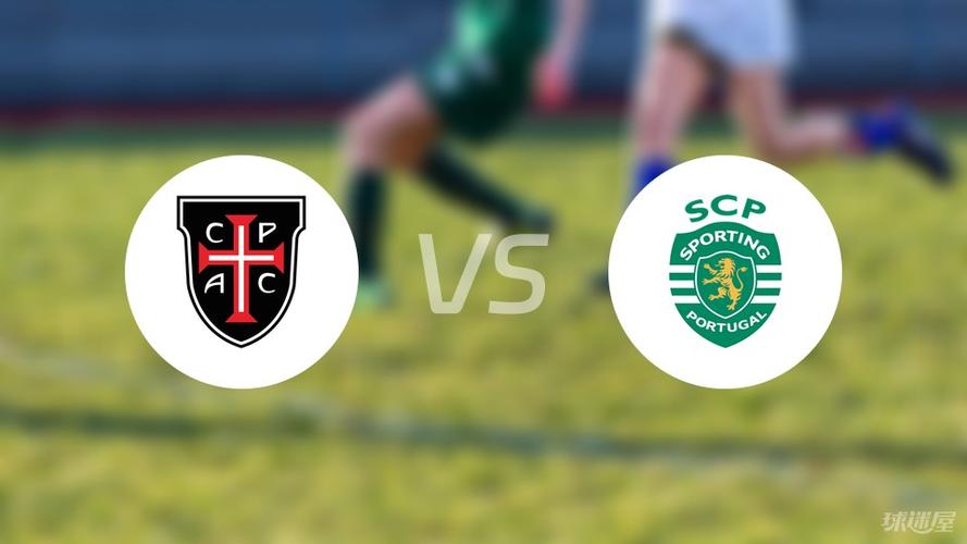 巴西女排vs波兰女排 巴西女排对阵俄罗斯女排