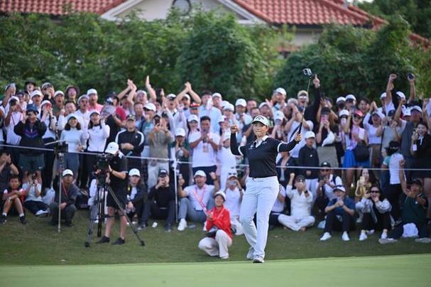 荷兰赢塞内加尔比分预测