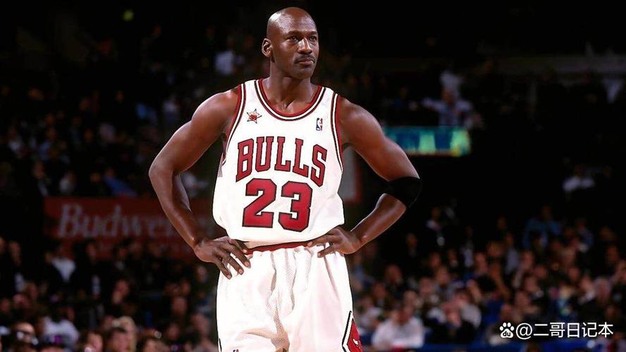 中国女排下一个赛事 中国女排下一个赛事