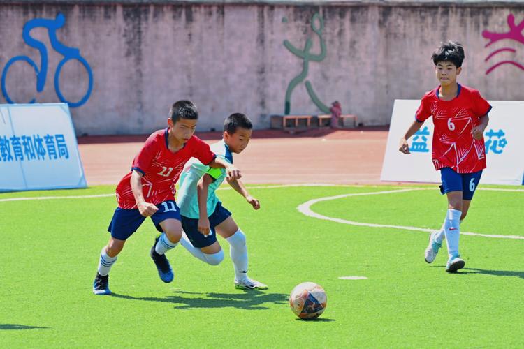 澳超布里斯班对阿德莱德比分预测