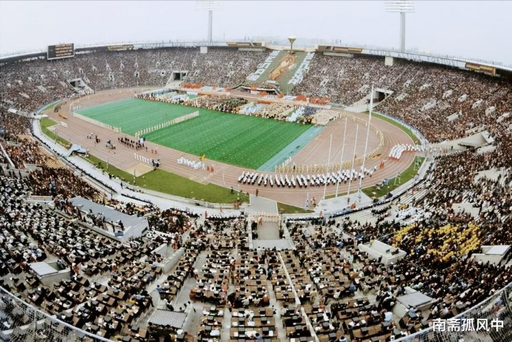 国王主教练迈克布朗