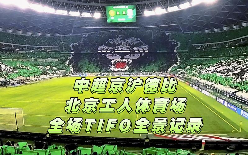 拜仁球场和尤文图斯球场名