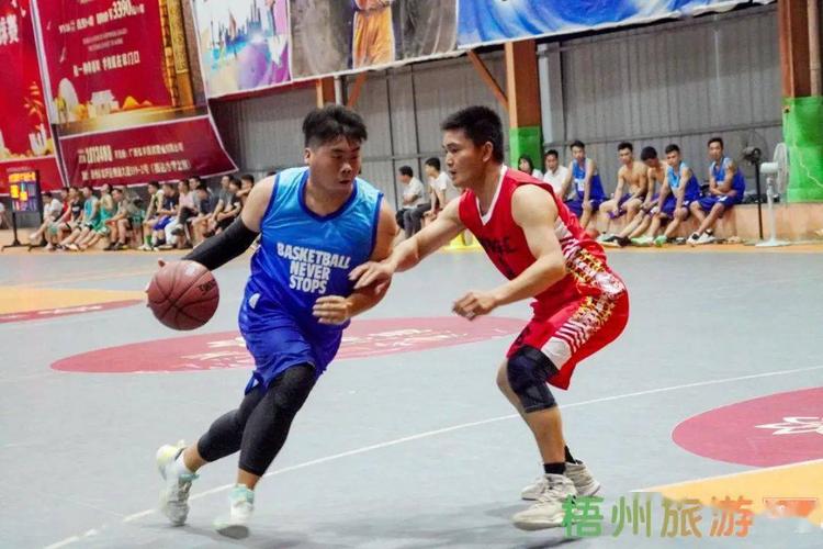 罗伯特皮雷斯什么水平