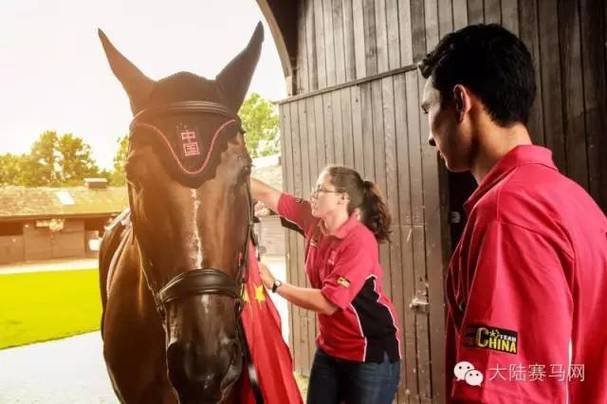 2012年欧冠半决赛切尔西巴萨 2012年欧冠半决赛切尔西巴萨