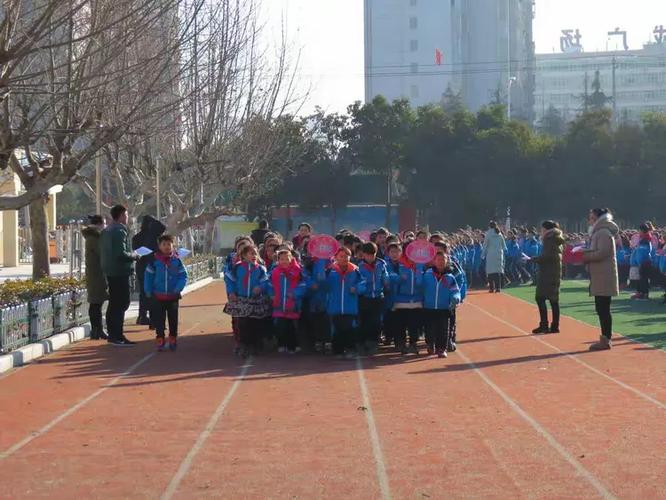 新手学游泳的技巧要领