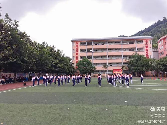 小托马斯视角下的史蒂文斯教练联盟顶尖战术家的实战智慧 小托马斯视角下的史蒂文斯教练联盟顶尖战术家的实战智慧