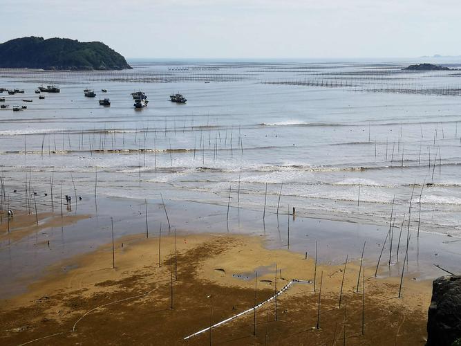 日本男篮进入巴黎奥运会 日本男篮进入巴黎奥运会