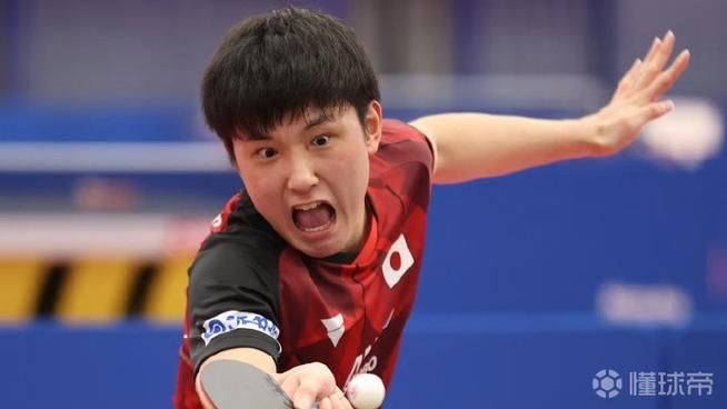 塔瑞克加尼尤的背景与经历是什么 塔瑞克加尼尤的背景与经历是什么