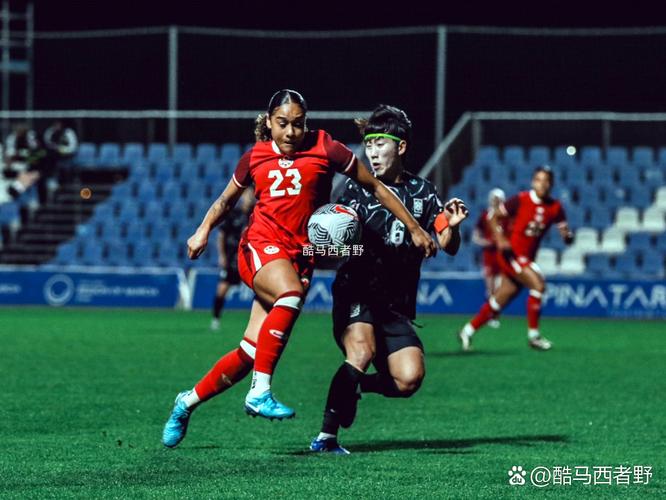 NBA季后赛第六战波士顿凯尔特人对决多伦多猛龙 NBA季后赛第六战波士顿凯尔特人对决多伦多猛龙