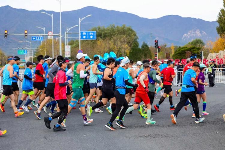 十个基本的篮球动作 十个基本的篮球动作