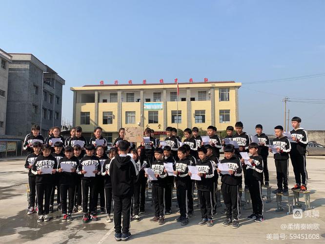 手机新浪官网首页登录