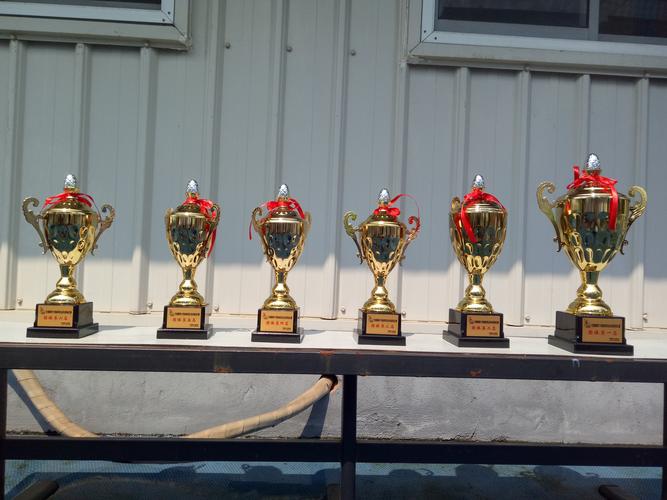 厄瓜多尔对卡塔尔集锦