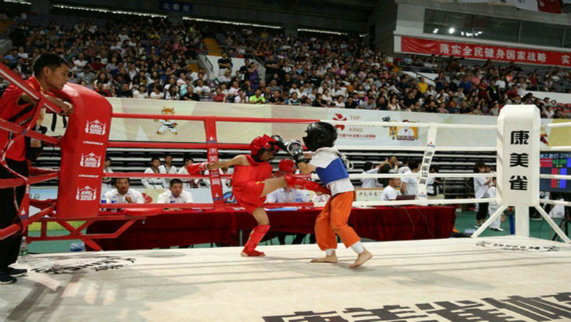 今晚七点半女排直播(今晚七点半女排直播吗)