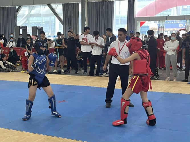 如何世界杯足球赛的精彩瞬间